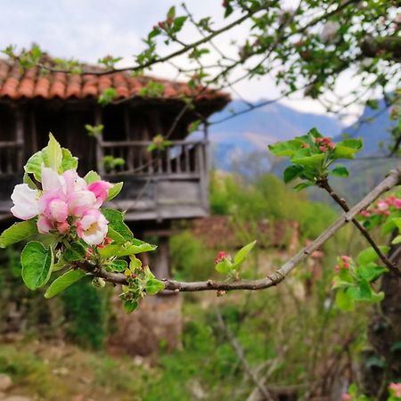 Вилла Casa La Parra Villar de Vildas Экстерьер фото